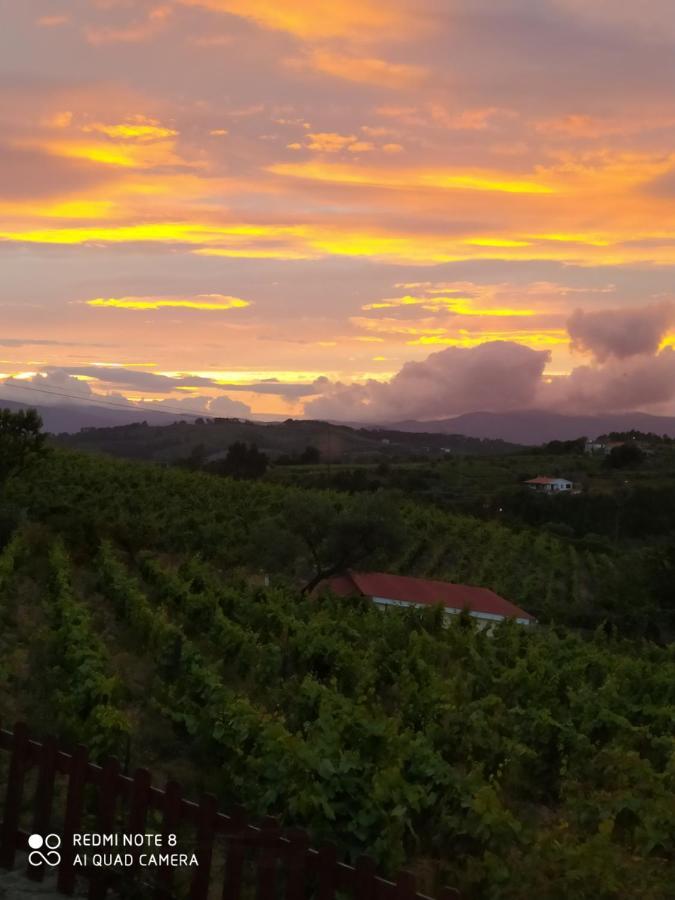 Casa Das Vinhas Velhas By Casa Do Poco ペーゾ・ダ・レーグア エクステリア 写真